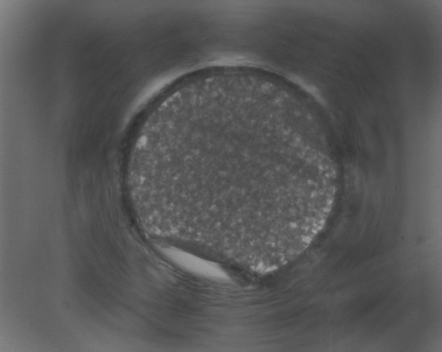 X0000080731311200701121900