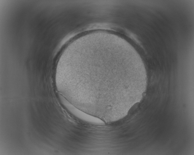 X0000080731312200701121900