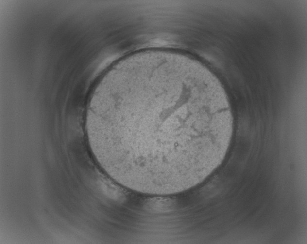 X0000080731314200701121900