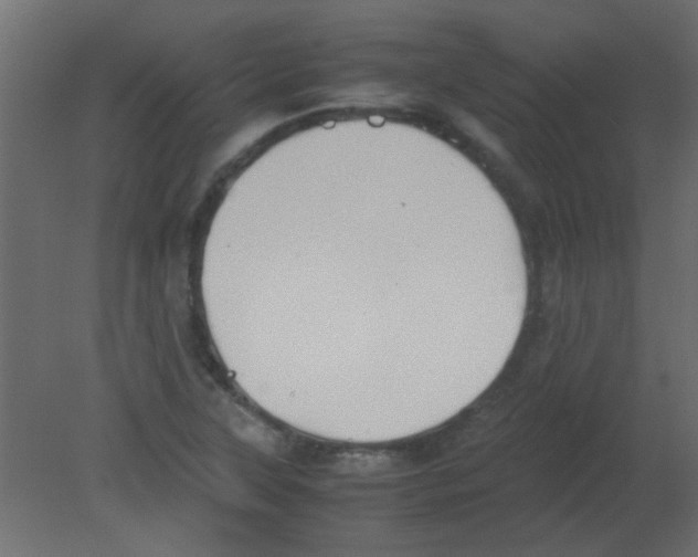 X0000080731315200701121900