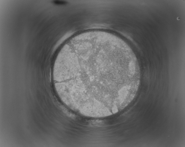 X0000080731317200701121900