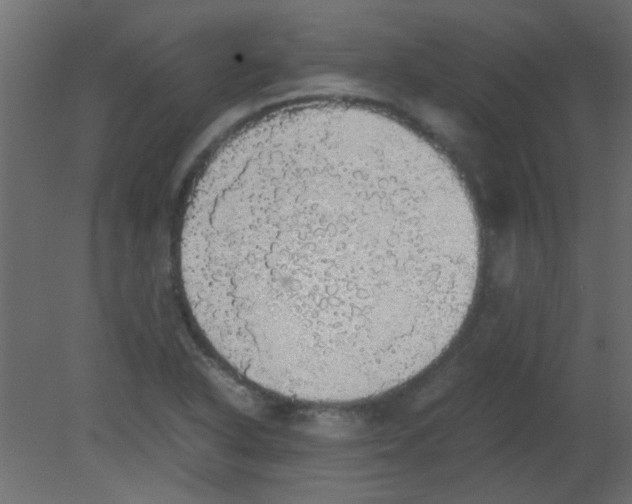 X0000080731318200701121900