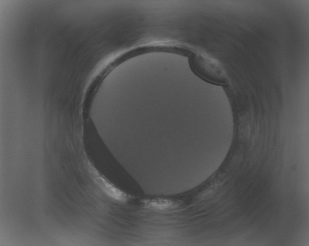 X0000080731319200701121900