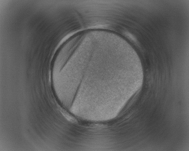 X0000080731324200701121900