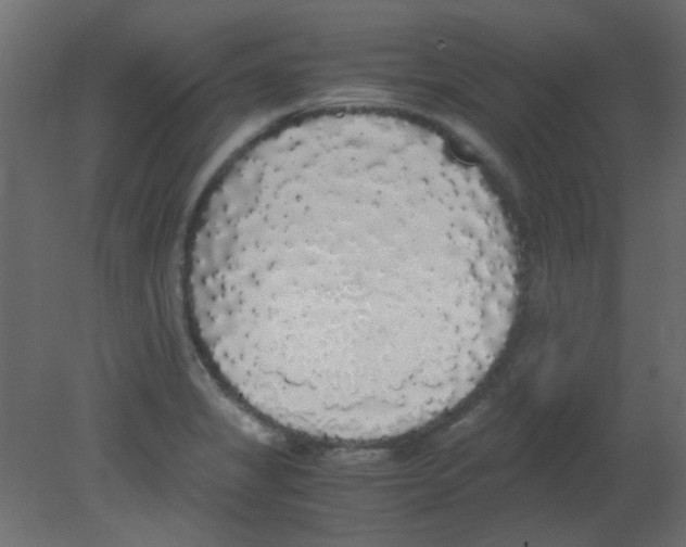 X0000080731325200701121900