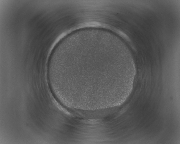 X0000080731326200701121900