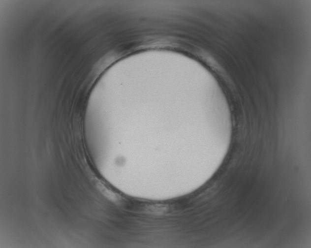 X0000080731329200701121900