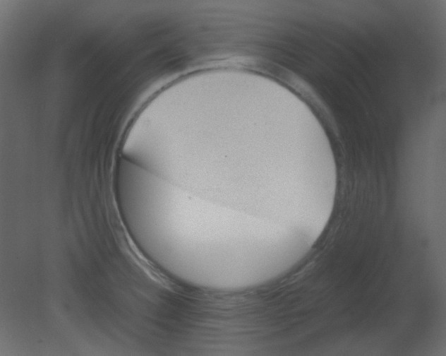 X0000080731332200701121900