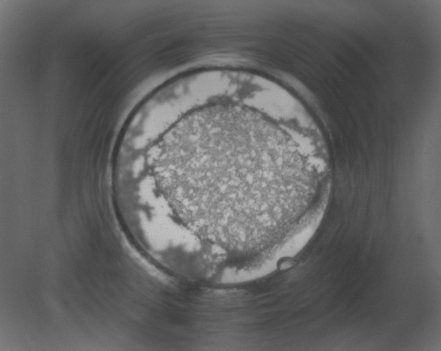 X0000080731335200701121900