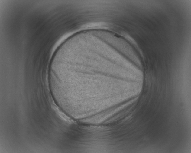 X0000080731336200701121900