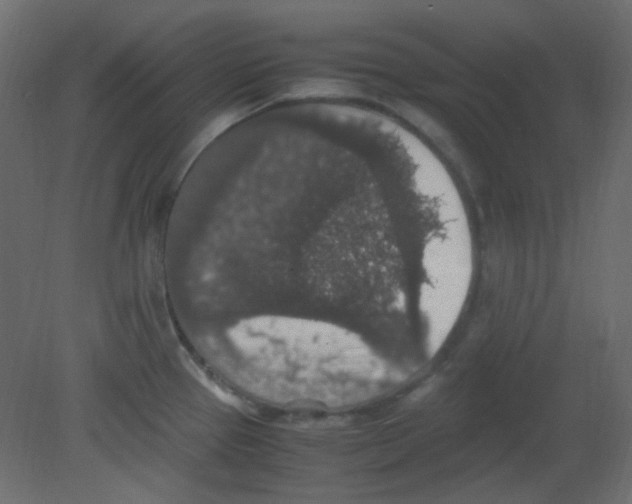 X0000080731337200701121900