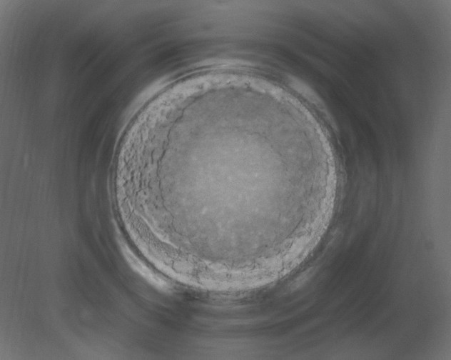 X0000080731338200701121900