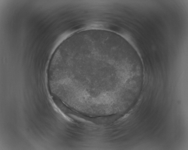 X0000080731341200701121900