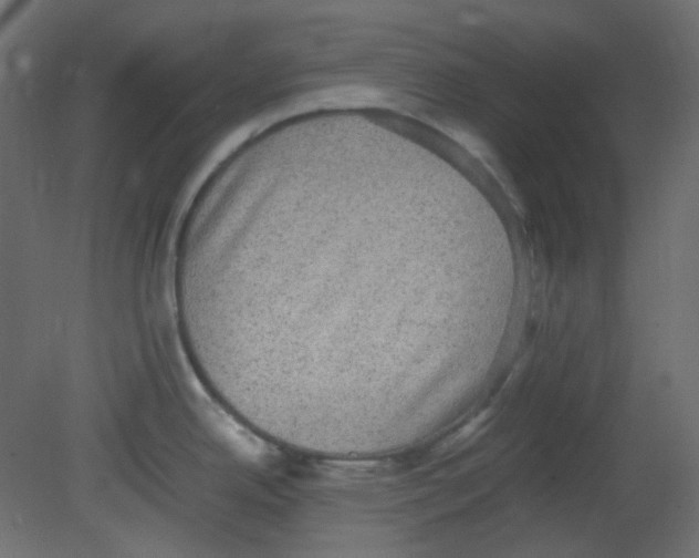 X0000080731342200701121900