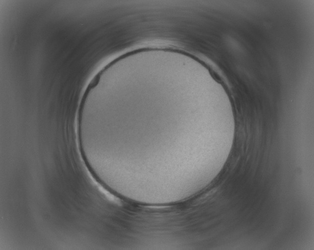 X0000080731343200701121900