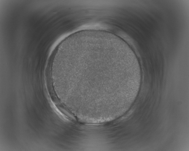 X0000080731344200701121900