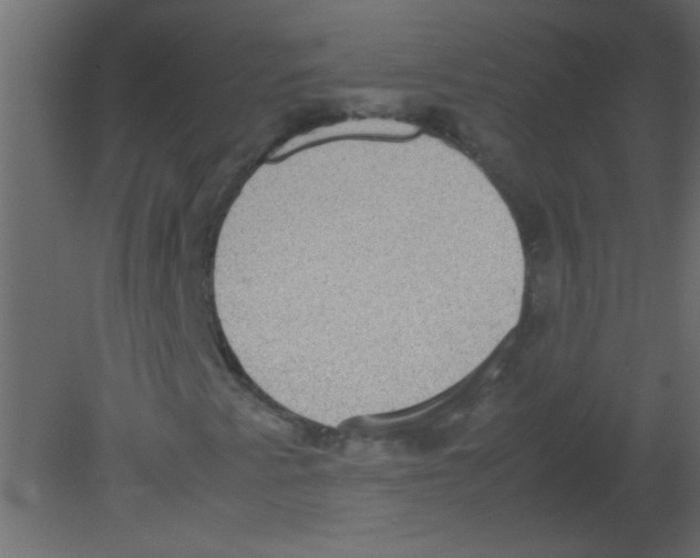 X0000080731345200701121900