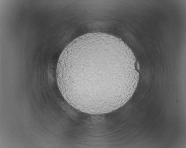 X0000080731346200701121900