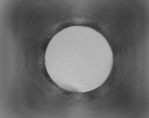 X0000080731349200701121900