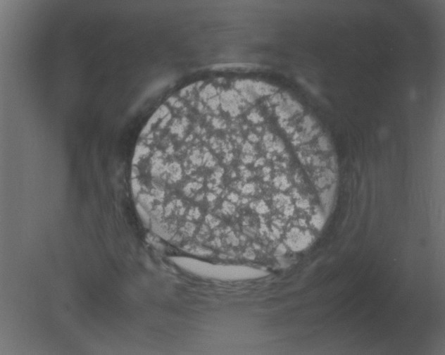 X0000080731351200701121900