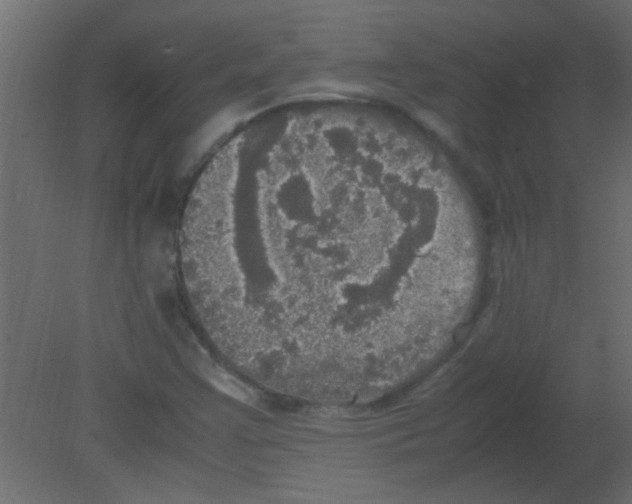 X0000080731355200701121859