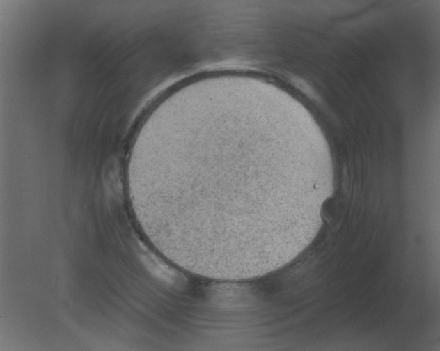 X0000080731356200701121859