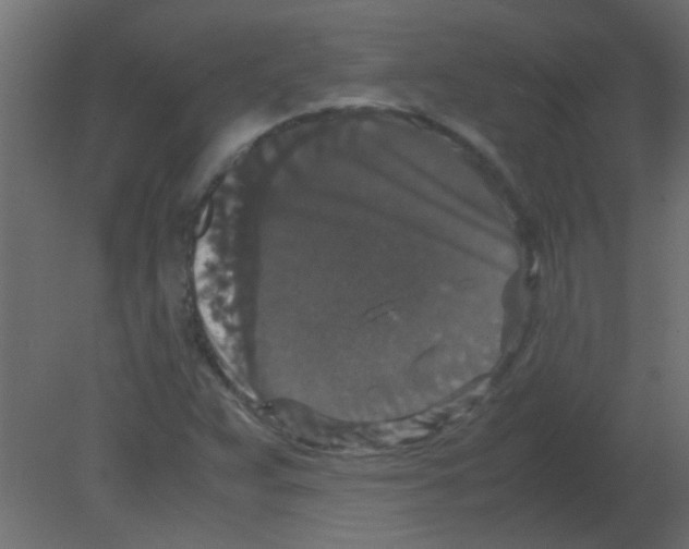 X0000080731359200701121859