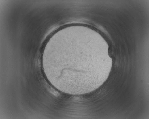 X0000080731360200701121859