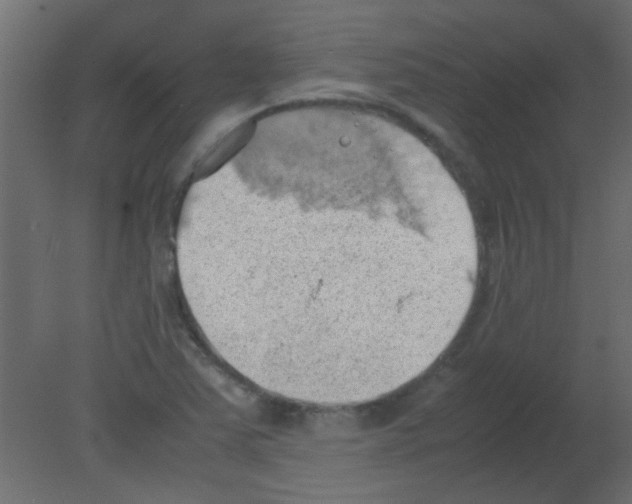 X0000080731363200701121859