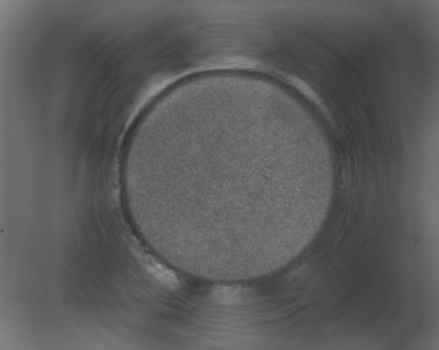 X0000080731364200701121859