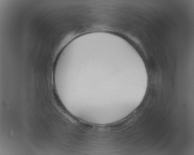 X0000080731365200701121859