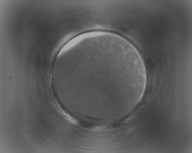 X0000080731367200701121859