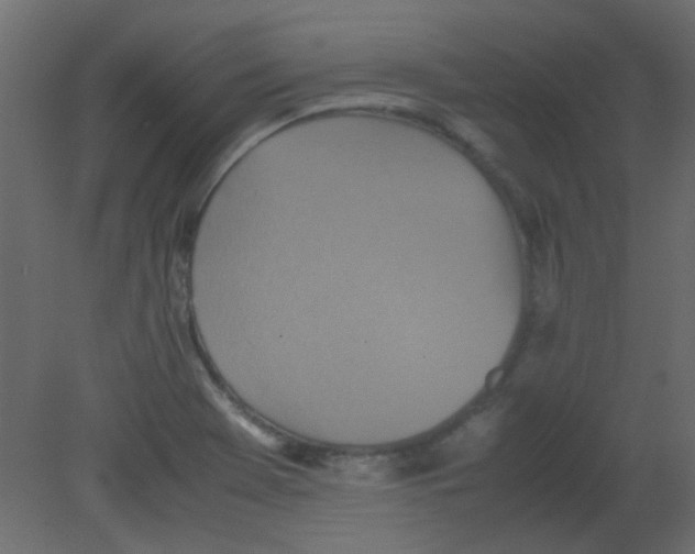 X0000080731369200701121859