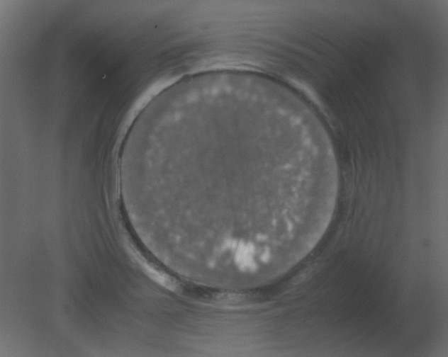 X0000080731371200701121859