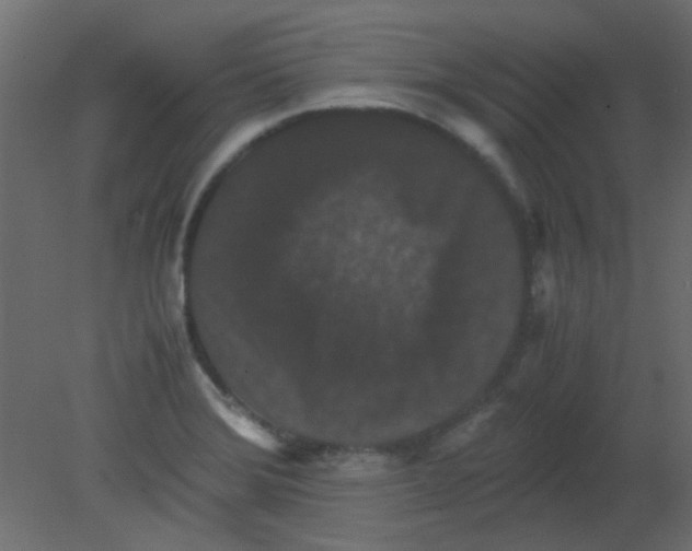 X0000080731372200701121859