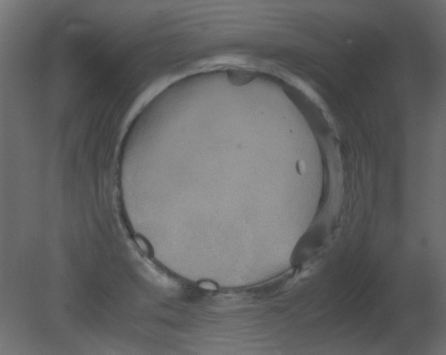 X0000080731373200701121859