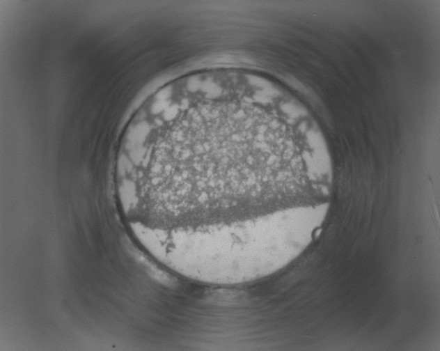 X0000080731374200701121859