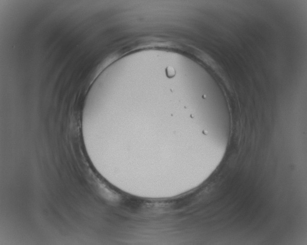 X0000080731377200701121859