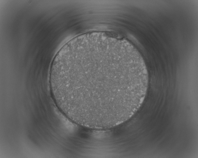 X0000080731378200701121859