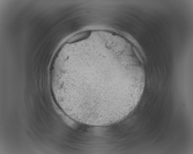 X0000080731380200701121859