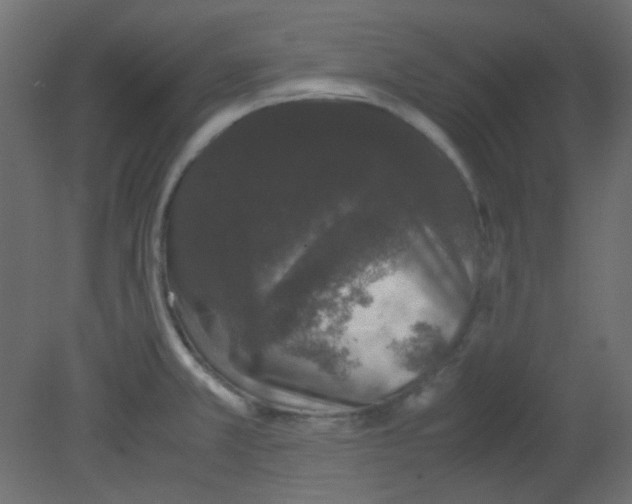 X0000080731381200701121859