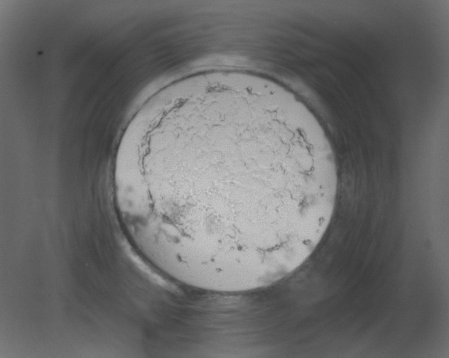 X0000080731382200701121859