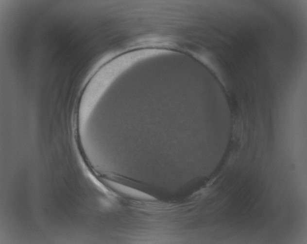 X0000080731383200701121859