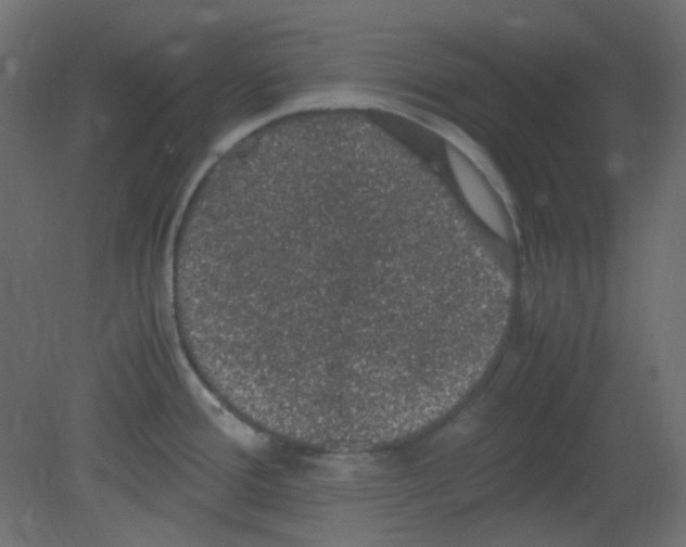 X0000080731388200701121859