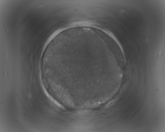 X0000080731389200701121859