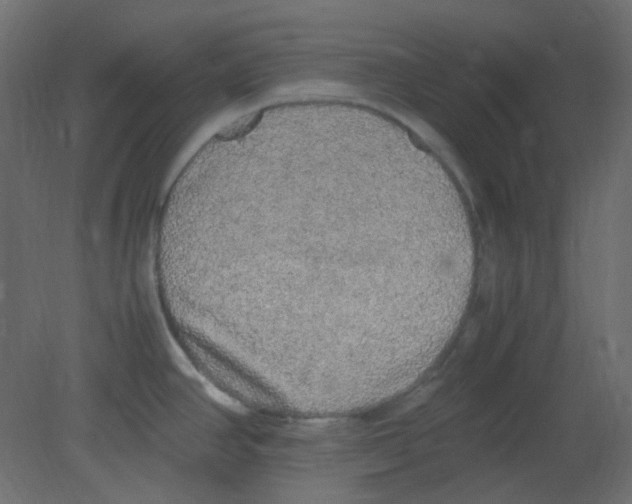 X0000080731390200701121859