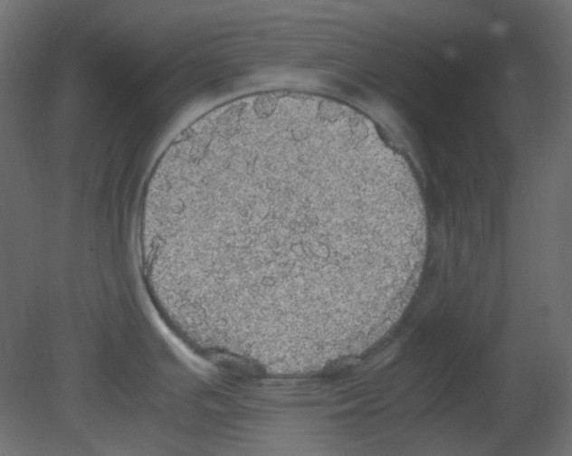 X0000080731391200701121859