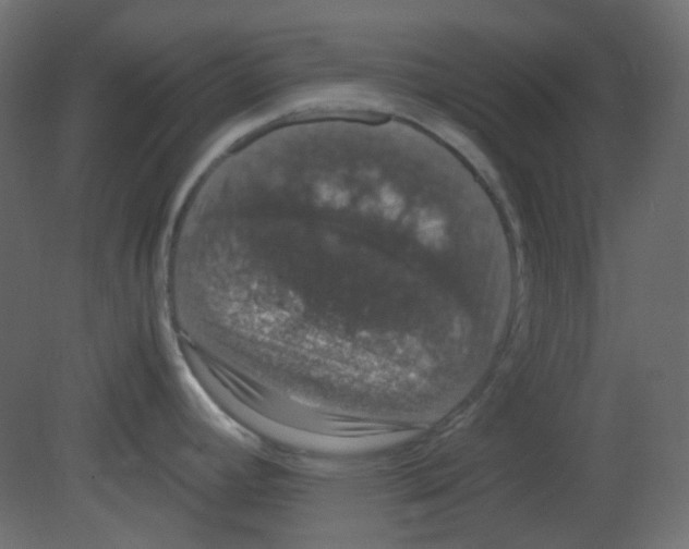 X0000080731392200701121859