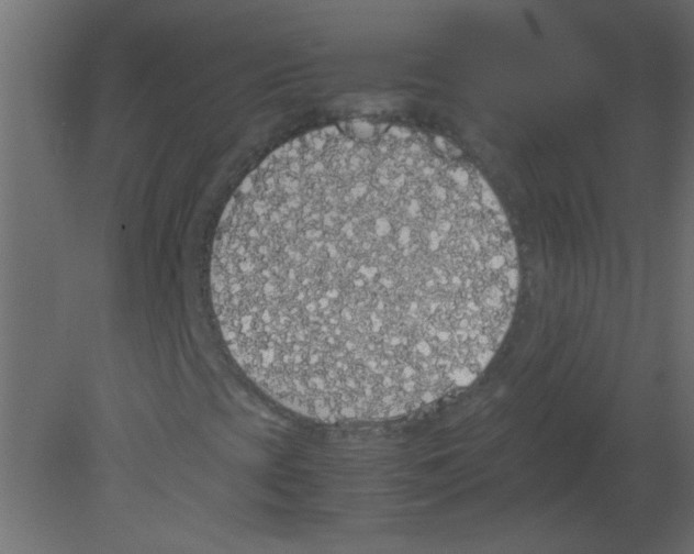 X0000080731393200701121858