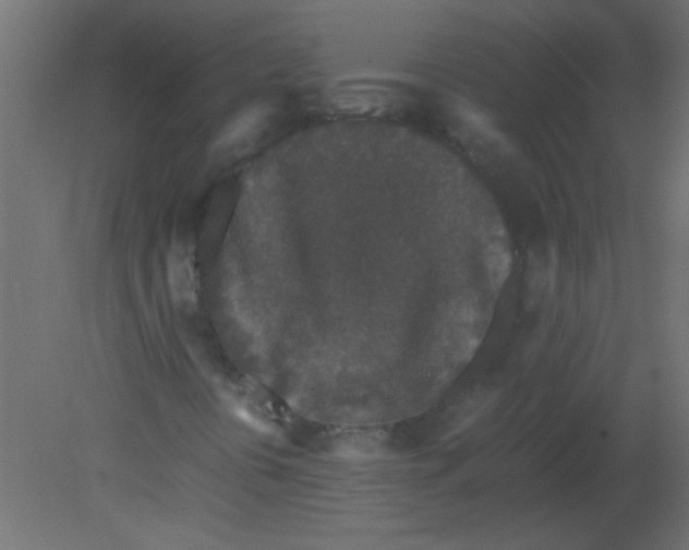 X0000080731394200701121858